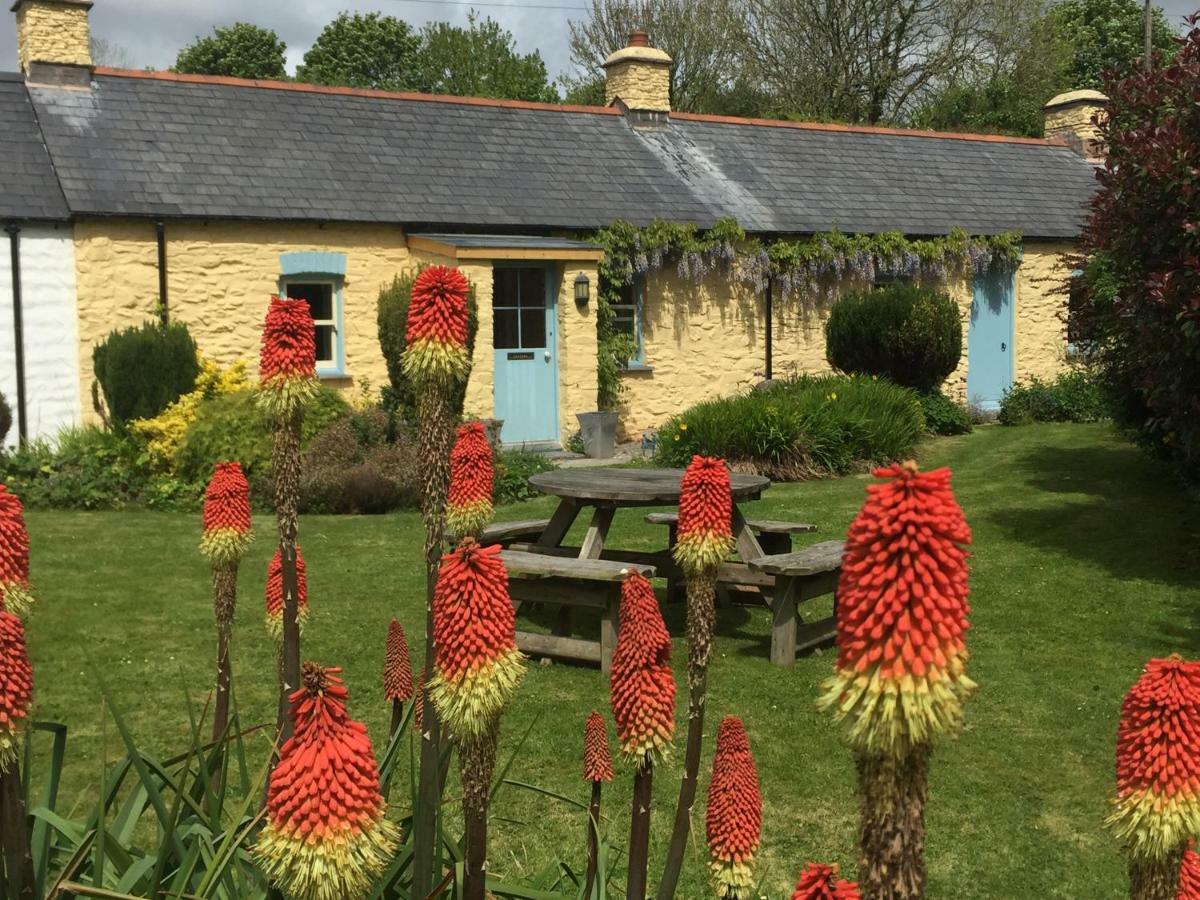 Charming Welsh Cottage Johnston Exterior photo